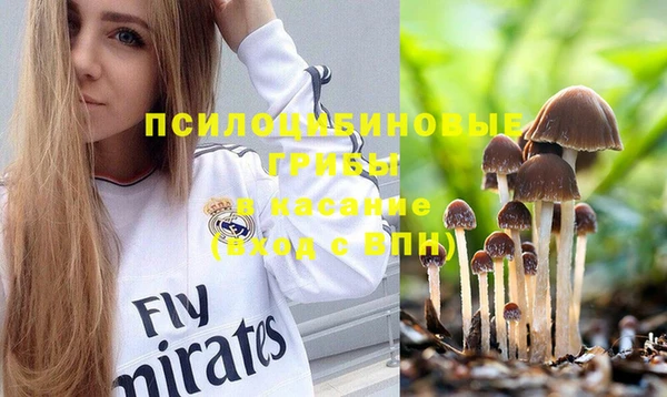 синтетический гашиш Козловка