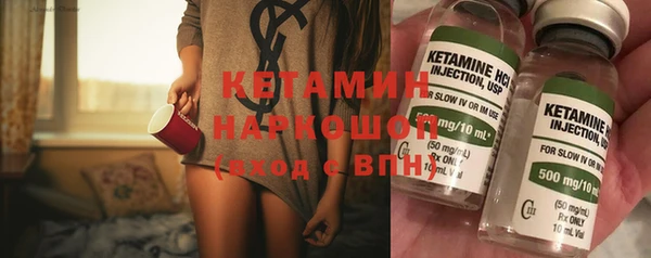 гидра Кодинск