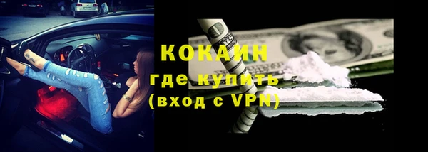гидра Кодинск