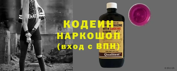 гидра Кодинск