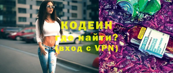 гидра Кодинск