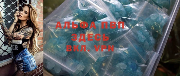 гидра Кодинск
