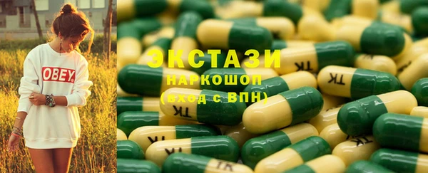 гидра Кодинск
