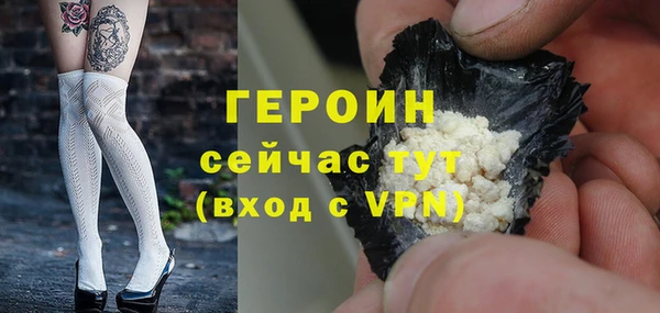 гидра Кодинск