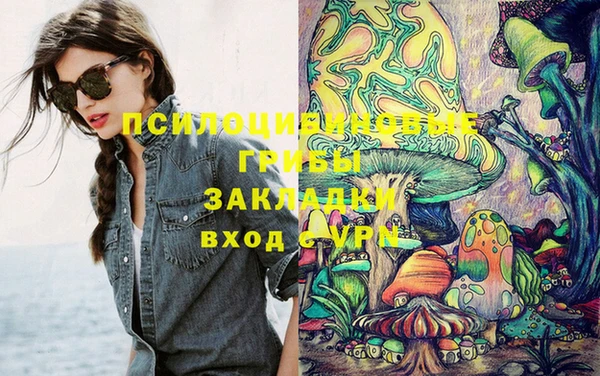 синтетический гашиш Козловка